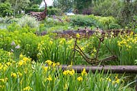 Rusty bicycle frame on planks over a damp water zone with yellow flagged iris, in the background a willow fence 