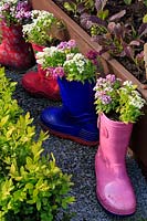 Children's coloured wellie or welly boots planted pink and white Alyssum, on path near raised bed