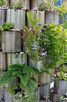 Detail of rocket-pyramid made of ribbed silver tin cans growing various plants including sunflower and marigolds. School garden, RHS Malvern Spring Festival, 2017. O Beoley -wan-Kenobi, Beoley Primary School. 