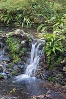 View stream and waterfalls, with ferns growing along the margins. Minterne Gardens, Dorset, UK. 