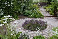 A circular bed planted with Thymus pulegioides. The Health and Wellbeing Garden, designed by Alexandra Noble, sponsored by CED Ltd, Majestic Trees, Marshal Murray, Hampton Court Palace Flower Show, 2018