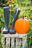 Wellington boots and pumpkin displayed on a crate in vegetable garden.