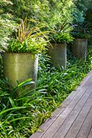 Aechmea Malva in matching feature pots in modern garden. Von Phister Residence, Key West, Florida, USA. Garden design by Craig Reynolds.
