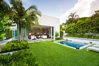 Small contemporary garden, view across Zoysia grass lawn to back of house
open to garden, simple foliage planting in beds including a row of Citrus - Orange
 trees in raised bed