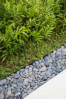 Edging of grey pebbles between concrete path and plant bed of Phymatosorus scolonpendria and Ficus pumila - Creeping Fig