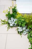 'From Darkness To Light' garden, plant combinations next to white paving and deck path
