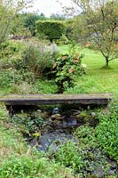 Bridge over the Stansbatch Brook that flows through the garden, fringed with ferns, Darmera peltata and other moisture loving plants.
