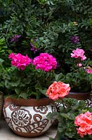 Brown and white decorative pot with pelargoniums in Moroccan themed courtyard