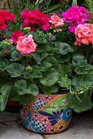 Decorative pot with pelargoniums in Moroccan inspired courtyard