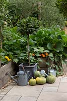 Watering cans under a Bay tree with harvested Squash