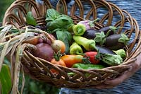 Holding basket of freshly harvested produce