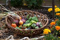Woven basket of harvested produce 