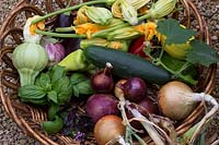 Basket of harvested produce 