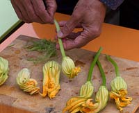 Preparing courgette flowers to stuff