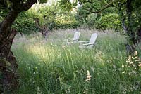 Seats amongst long grass in orchard