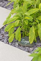 Label stone in checkerboard herb garden