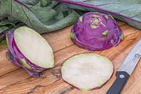 Harvested Kohlrabi 'Purple Delicacy' cut on chopping board