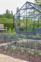 Netting tunnels in vegetable garden protecting the crops against pigeons