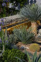 Yucca rostrata, cacti and flowering Agapanthus in show garden. Santa Rita 'Living La Vida 120' Garden. Designed by Alan Rudden. Sponsored by Santa Rita Wines. RHS Hampton Court Palace Show, 2018.

