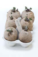 An egg box of chitting potatoes, labelled  'Desiree'. 