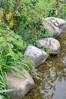 Planting for wildlife with water and rocks detail. The Thames Water Flourishing Future Garden. Designed by Tony Woods, Sponsored by Thames Water, RHS Hampton Court Palace Garden Festival, 2019. 

