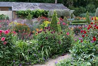 Flowering dahlias, geraniums and heleniums grow with clipped topiary in walled garden.
