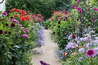 View along a kitchen garden path flanked by dahlias and asters.