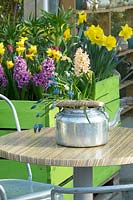 Kettle on table filled with flowering Muscari, Scillia and Hyacinthus.