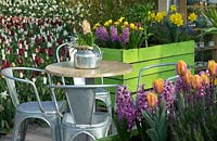 Table and chairs surrounded by flowering bulbs, in containers nearby and the borders beyond. 