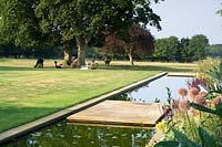 View past modern water feature, to herd of grazing alpaccas on lawn. 