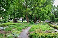 Communal herb garden at Weteringburt, Amsterdam, The Netherlands. 