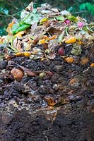 The degradation profile in a conical domestic compost bin 