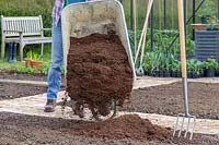 Woman adding compost from wheelbarrow to soil in kitchen garden.
