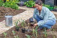 Woman carefully tipping the plants from their pots