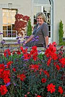 Judy Pearce, Owner of Lady Farm Garden, sits by a bed of Dahlia 'Bishop of Llandaff' and Verbana bonariensis. Somerset, UK. 