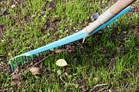Person removing stone and debris off a newly sown lawn using a plastic rake. 
