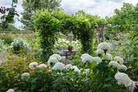 A wisteria-clad pergola, the uprights in beds of blue agapanthus and dark pink drumstick alliums. Seen over white 'Annabelle' hydrangeas.