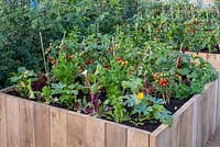 A raised wooden bed with vegetables such as courgettes, parsnips, tomatoes and chilli peppers.

