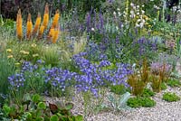 A drought tolerant gravel garden featuring a range of plants adapted to cope with dry spells. Beth Chatto: The Drought Resistant Garden, designed by David Ward, RHS Hampton Court Garden Palace Show, 2019.
