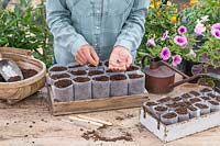 Woman carefully sowing wild flower seeds into bio pots. 