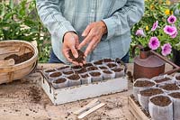 Woman adding thin layer of compost after sowing Nigella seeds. 