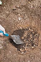Person digging a hole ready for a Drimys lanceolata - Mountain Pepper to be transplanted. 