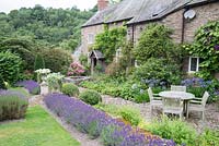 Row of flowering Lavandula and clipped Buxus balls, with seating area by house. Hurdley Hall, Powys, Wales, UK. 