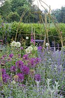 A rustic arbour, seen through a bed of Alliums 'Purple Rain', 'Mount Everest' and 'Miami', Nepeta and Digitalis. 