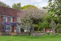 The 1937 house overlooks a lawn where an old Bramley apple tree breaks out in blossom above tulips and daffodils.