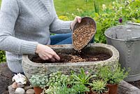 Step-by-Step planting a stone alpine trough. Step 3: Woman mixing gravel into the compost, one to three.