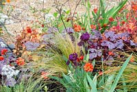 Colourful border of Iris 'Langport Wren', Stipa tenuissima, Heucera 'Plum Pudding' and Geum 'Totally Tangerine' - The Redshift, RHS Malvern Spring Festival 2019