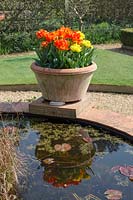 Raised garden pond with inbuilt plinth to displays containers, here Tulipa 'Monte Orange' and 'Monte Carlo' - Tulips
