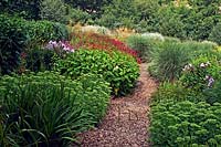 Overview of the prairie garden with Sedum and ornamental grasses

