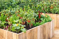 Raised vegetable beds with Tomatoes, Courgettes and Chilli Pepper plants. RHS Hampton Court Palace Garden Festival 2019.Sponsor: Thames Water